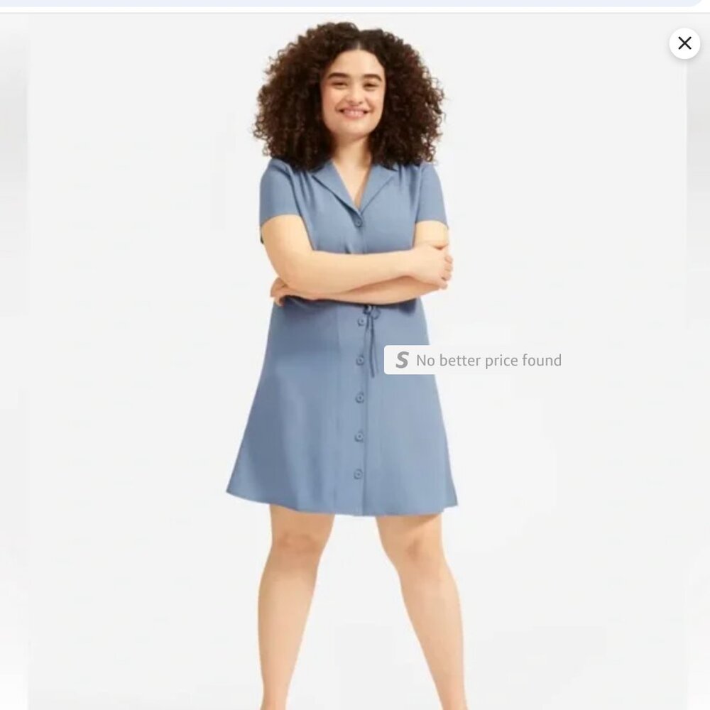 Everlane Blue Dress